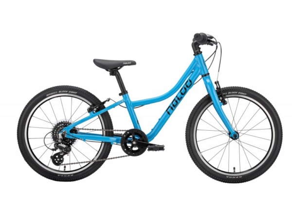 NALOO Chameleon 20"