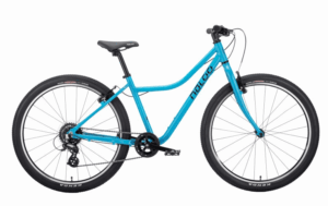 NALOO Chameleon 24" Mk2.1